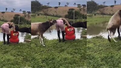 Dog girl porn: reale erlebnisse einer frau mit bestiality