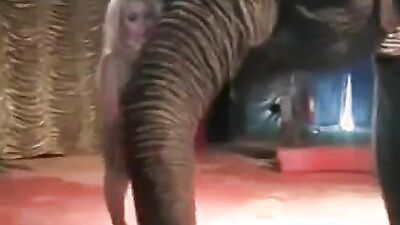Best dog girl: video very huge zoo