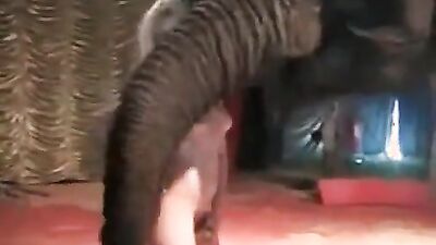 Best dog girl: video very huge zoo