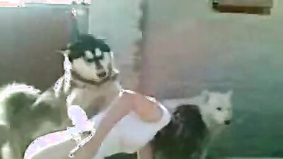 Dog girl 1: zoo porn girls fucking