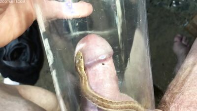 Zoo horse porn: art of zoo teacher xxx