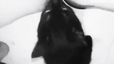 Zoo porn 2026: zoo porn rimjob
