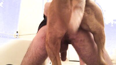 Dog sex video: home animal porn