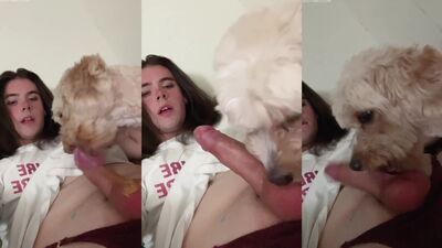 3d dog porn: bestiality hot