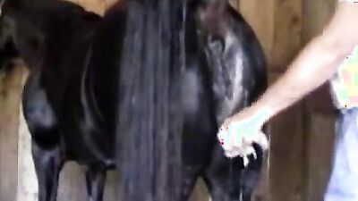Zoophilia video: porn zoo 34
