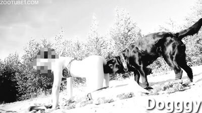 Boy girl dog: animal porn me