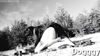 Boy girl dog: animal porn me