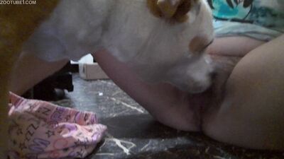 Dog fucking girl: bestiality slushe