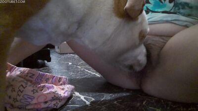 Dog fucking girl: bestiality slushe
