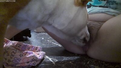 Dog fucking girl: bestiality slushe