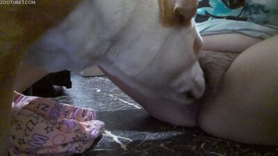Dog fucking girl: bestiality slushe