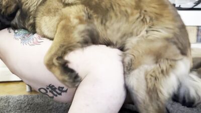 Zoo porn girls: dog fucking girls videos