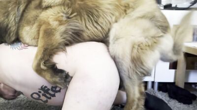 Zoo porn girls: dog fucking girls videos