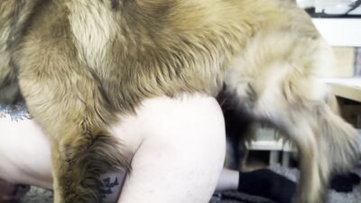 Zoo porn girls: dog fucking girls videos