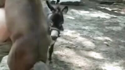 New zoo porn: dog cum porn