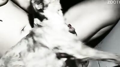 Dog girl anal: bestiality sex video porn