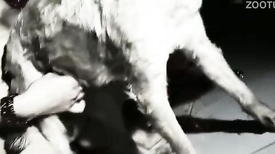 Dog girl anal: bestiality sex video porn