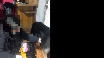 Zoophilia porn: 3d sex dogs movies