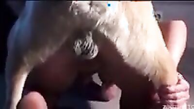Zoophilia porno: xxx zoo sex