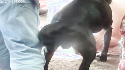 Dog licking girl: https ladya sonya exclusive zoo porn