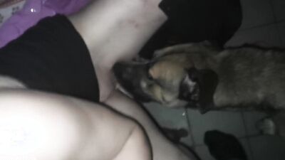 Dog gay porn: mimi dog girl rule34