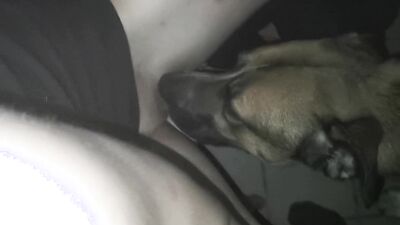 Dog gay porn: mimi dog girl rule34