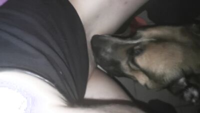 Dog gay porn: mimi dog girl rule34