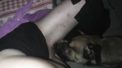 Dog gay porn: mimi dog girl rule34