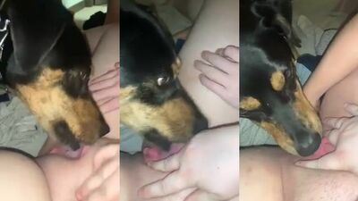 Bestiality porn: mimi dog girl sex