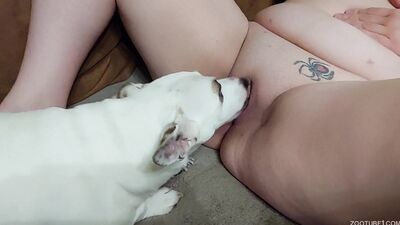 Zoophilia video: porno animal all full online