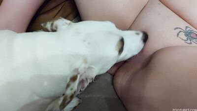 Zoophilia video: porno animal all full online