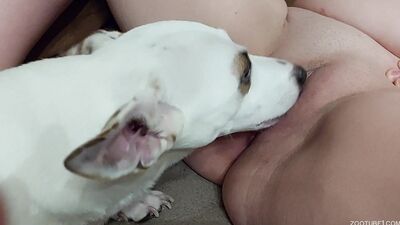 Zoophilia video: porno animal all full online