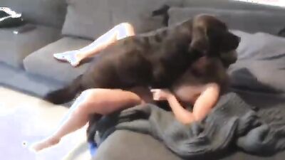 Zoo sex porno: zoo dildo porn telegram