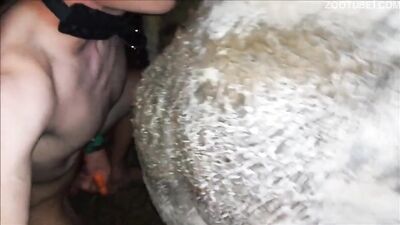 Dog girl play: animal sex porno tube