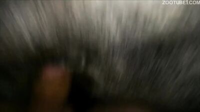 Dog girl play: animal sex porno tube