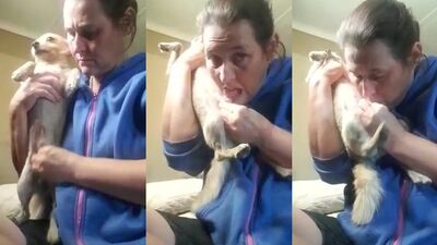 Zoo sex: reality zoo seks xxx video