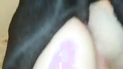 Animal porno: 3d bbv sex dog compilation zoo porno