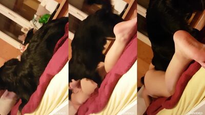 Fucking dogging porn: animal porn video tube