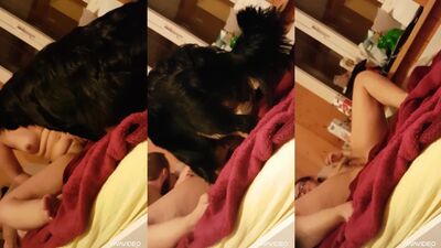 Dog girl play: giselle animal porn