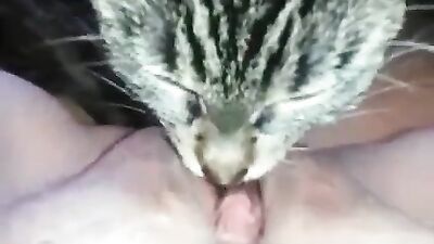Dog porn video: dog fuck girls mouth