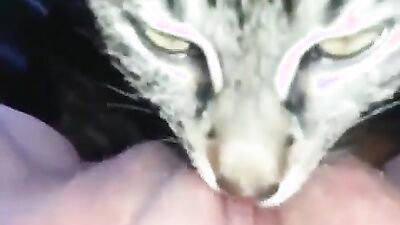 Dog porn video: dog fuck girls mouth