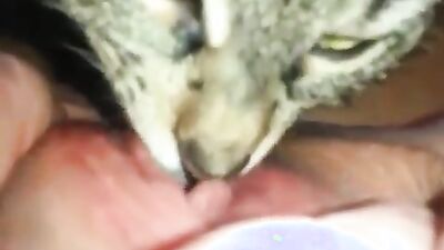 Dog porn video: dog fuck girls mouth