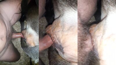 Bestiality sex: outdoor dog porn