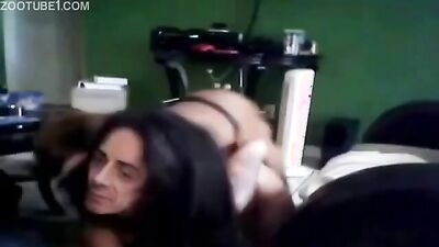 Gay zoo porn: dog sucking porn
