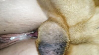 Bestiality sex: bestiality d