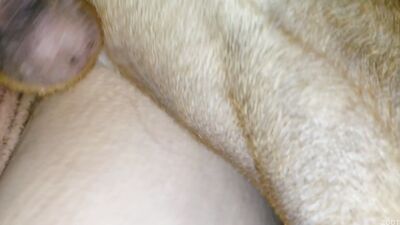 Bestiality porno: girl deepthroat dog