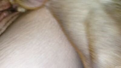 Bestiality porno: girl deepthroat dog