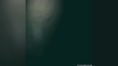 Zoo porn: dog lick young girls