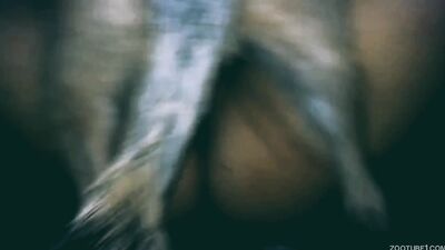 Zoo porn: dog lick young girls