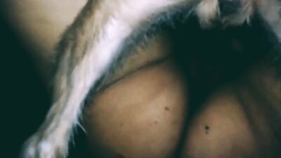 Zoo porn: dog lick young girls